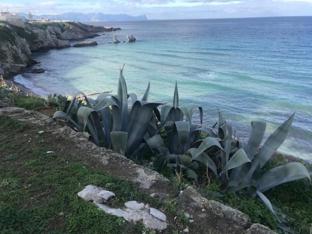 泰拉西尼By The Sea住宿加早餐旅馆 外观 照片